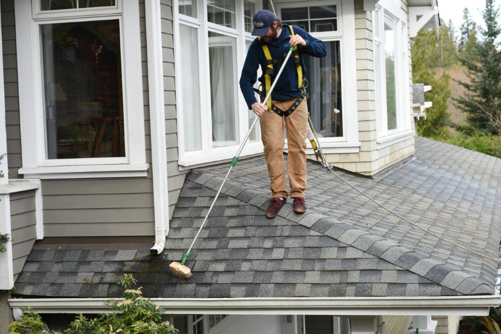 Where to get the best roof cleaning services in BC, Canada?