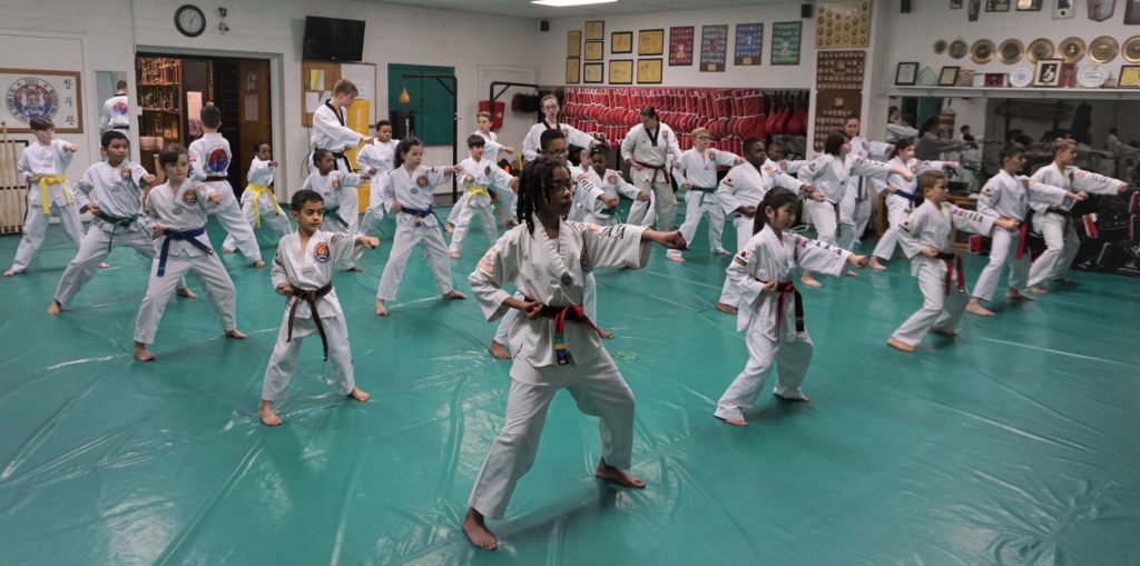 Everything else you must learn about taking your children to learn taekwondo